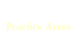 業務内容 Practice Areas
